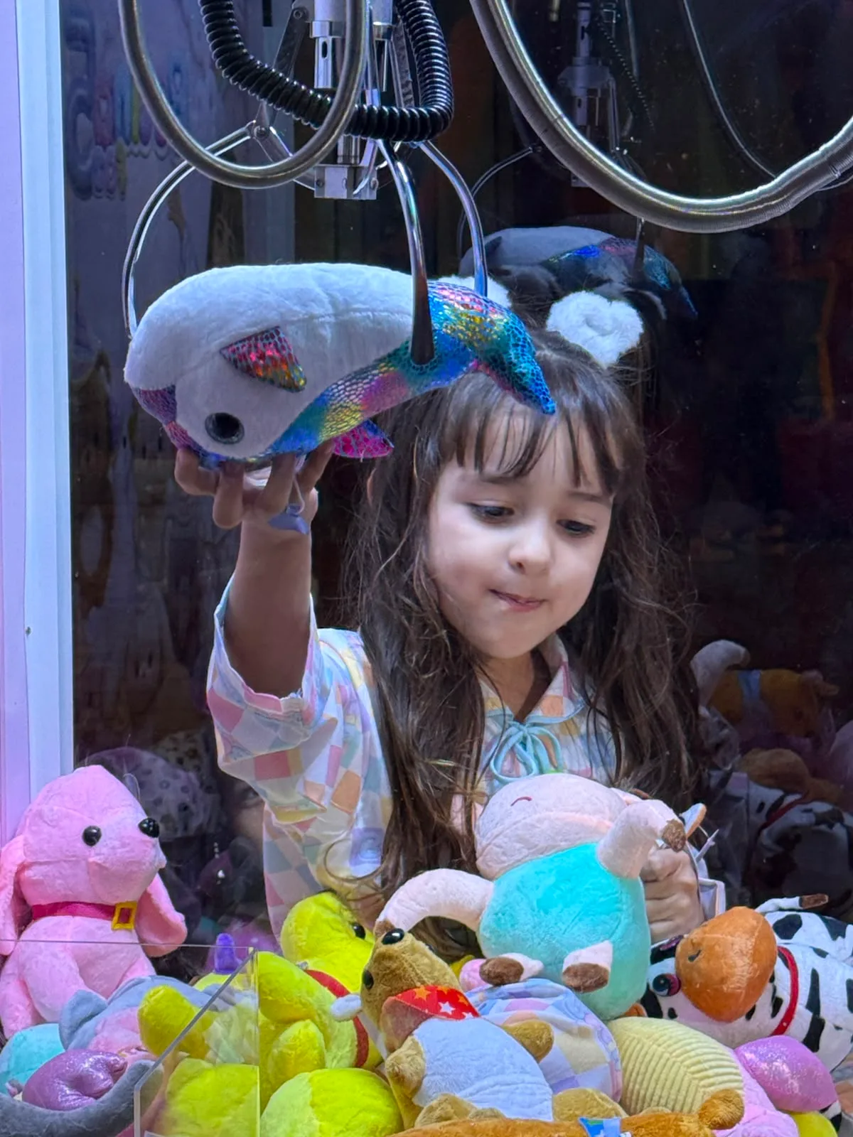 DG Entretenimento - Máquinas de Pegar Bichinho de Pelúcia  — Recreação / Brinquedos em Taubaté