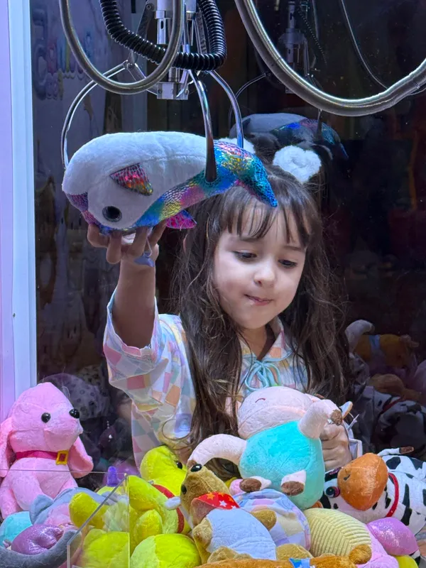 DG Entretenimento - Máquinas de Pegar Bichinho de Pelúcia  — Recreação / Brinquedos em Taubaté