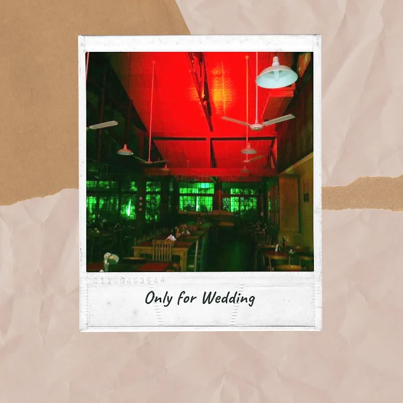 Only For Wedding — Música / DJ / Som em Tremembé