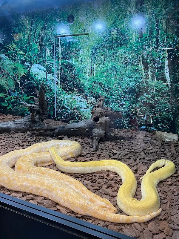 Animais Incríveis Campos do Jordão — Outros em Campos do Jordão, SP