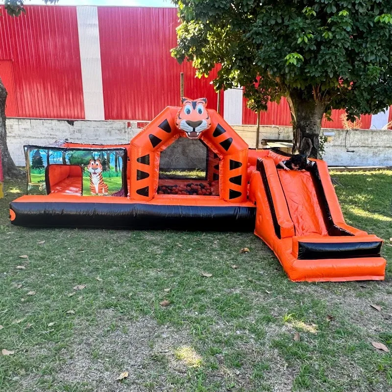 Anima festa locações de brinquedos — Outros em São Sebastião, SP