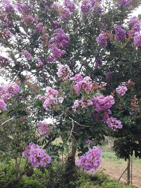 Sítio e Espaço Brota Nova — Salão de Festas em São Luiz do Paraitinga, SP
